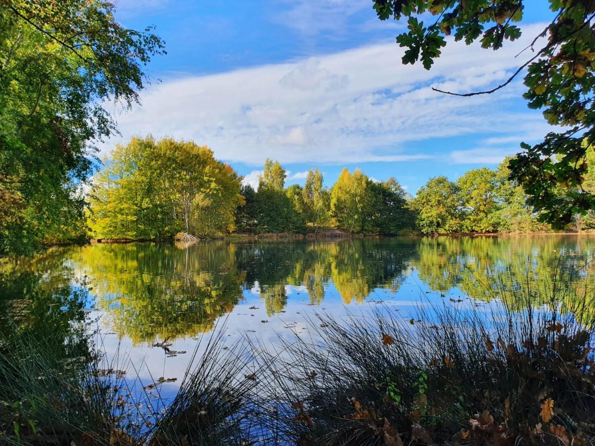 Ferienwohnung Am See Dillich - Eigener Garten - Ruhige Lage - Natur Vor Der Haustuer Borken  Luaran gambar
