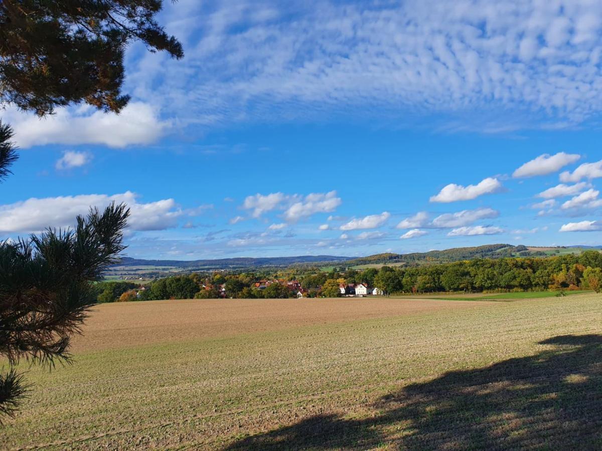 Ferienwohnung Am See Dillich - Eigener Garten - Ruhige Lage - Natur Vor Der Haustuer Borken  Luaran gambar