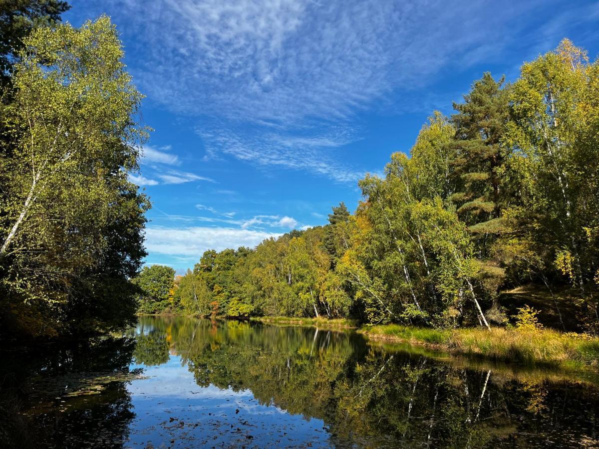 Ferienwohnung Am See Dillich - Eigener Garten - Ruhige Lage - Natur Vor Der Haustuer Borken  Luaran gambar